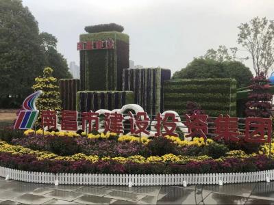 以菊为媒 以花为介 展现服务都会与生长之宗旨——市尊龙抖圈官网集团参展南昌市第三十四届菊花展