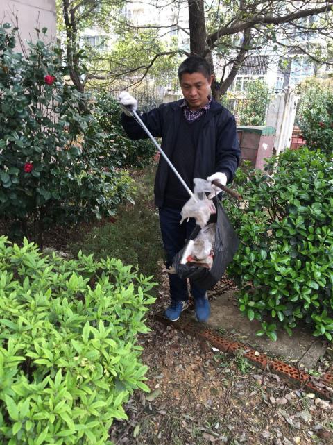 控制鼠害、预防疾病！。。。。。，，构建协调文明社区